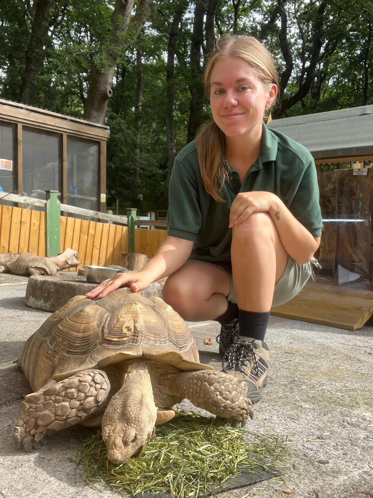 Keeper with large tortoise