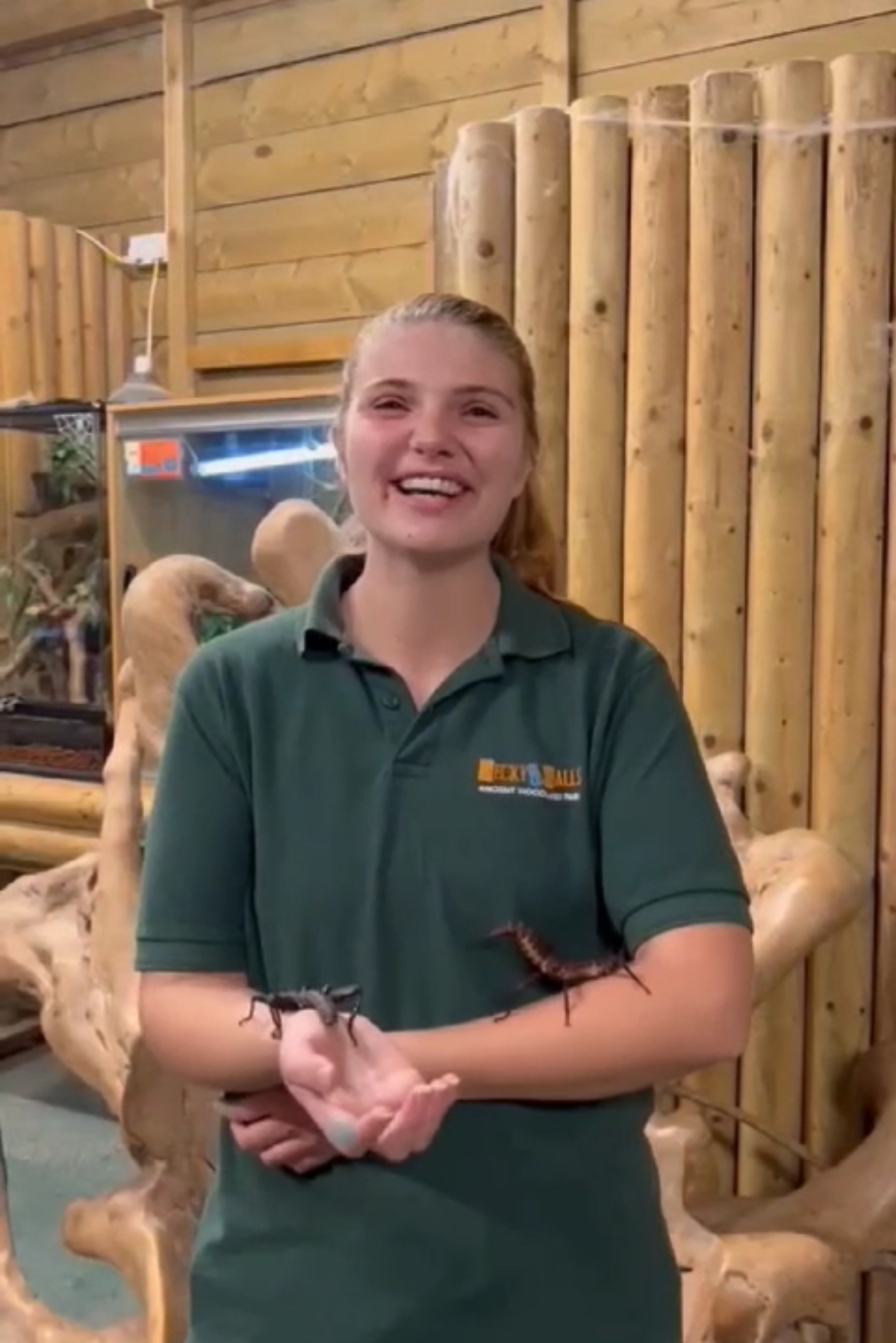 keeper with stick insects