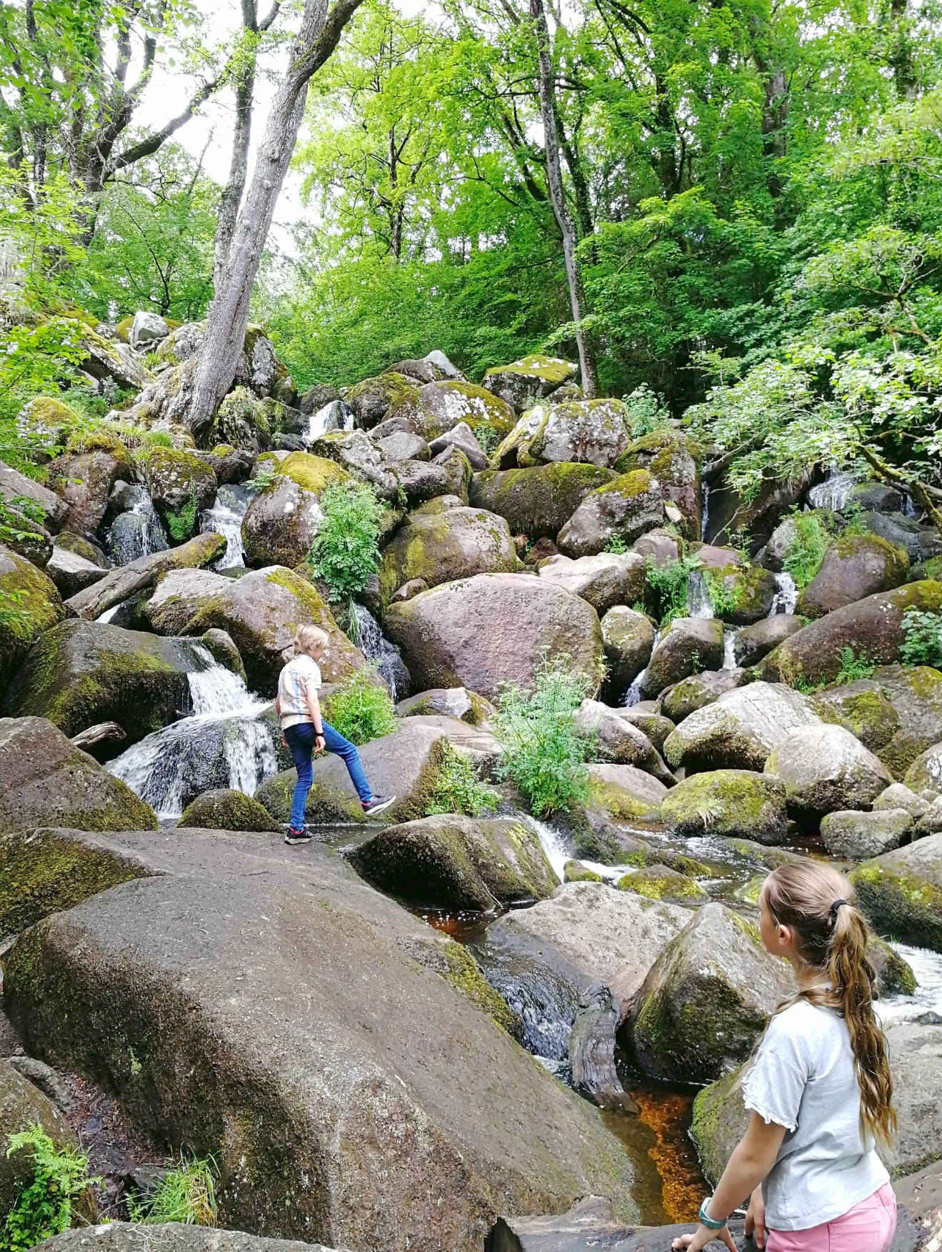 kids climbing waterfall