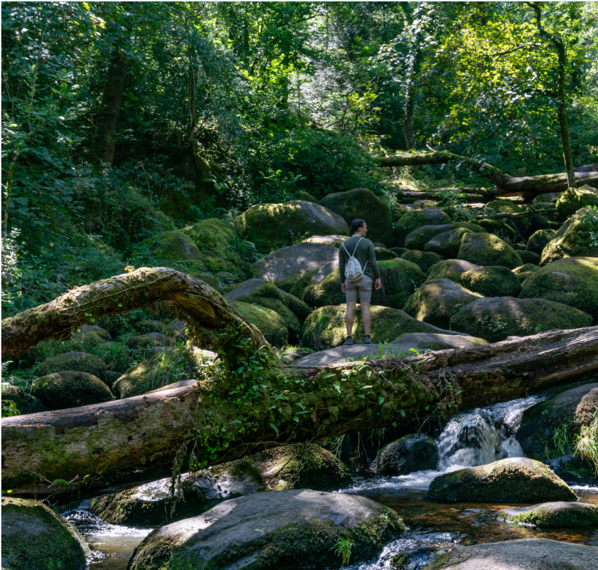 man exploring woodlands and falls