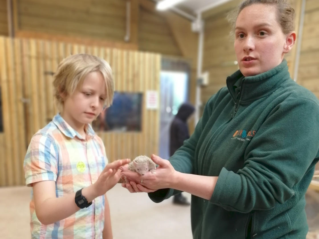 keeper with hedgehog