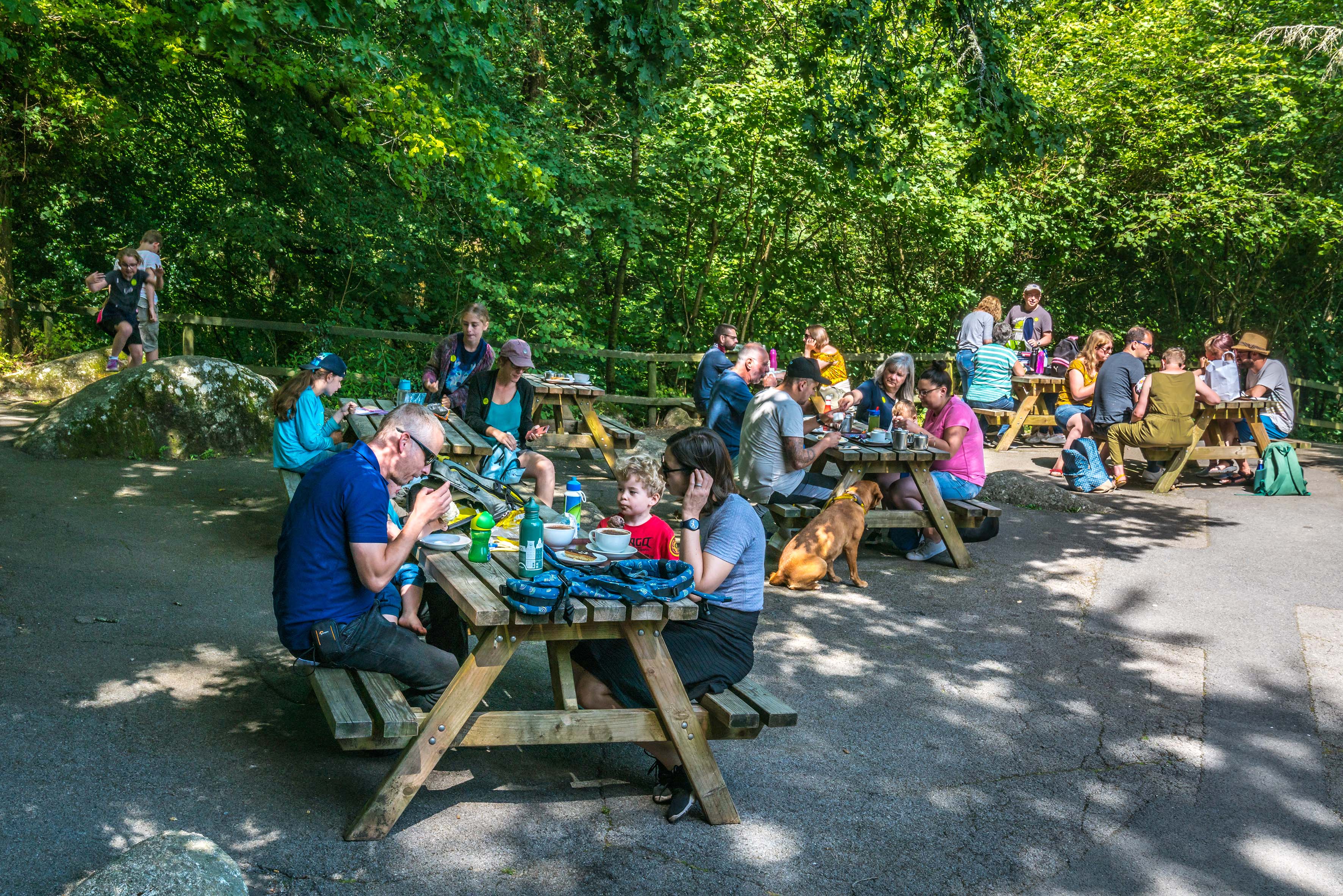 families enjoying meal on picnic tables