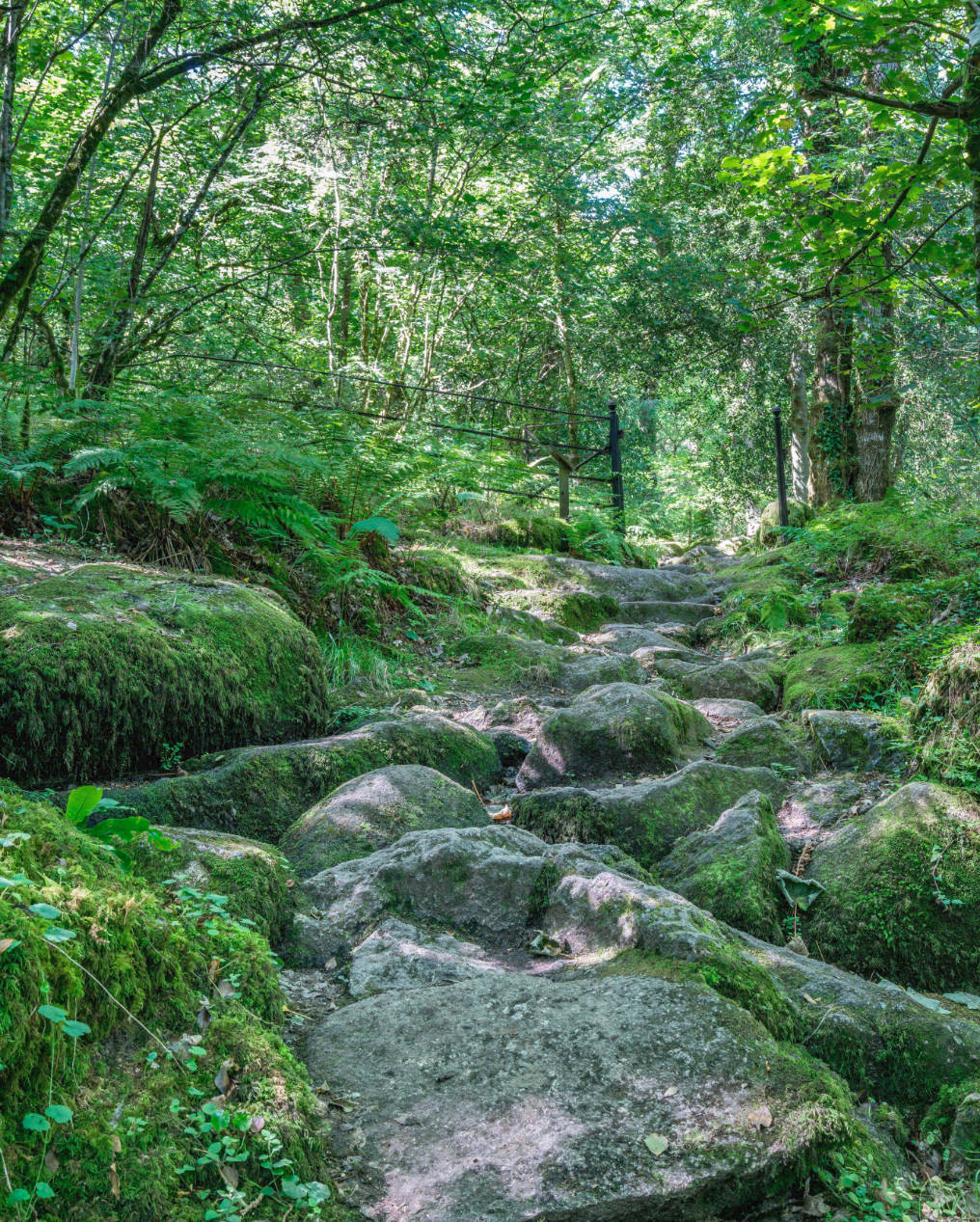 image of red trail path