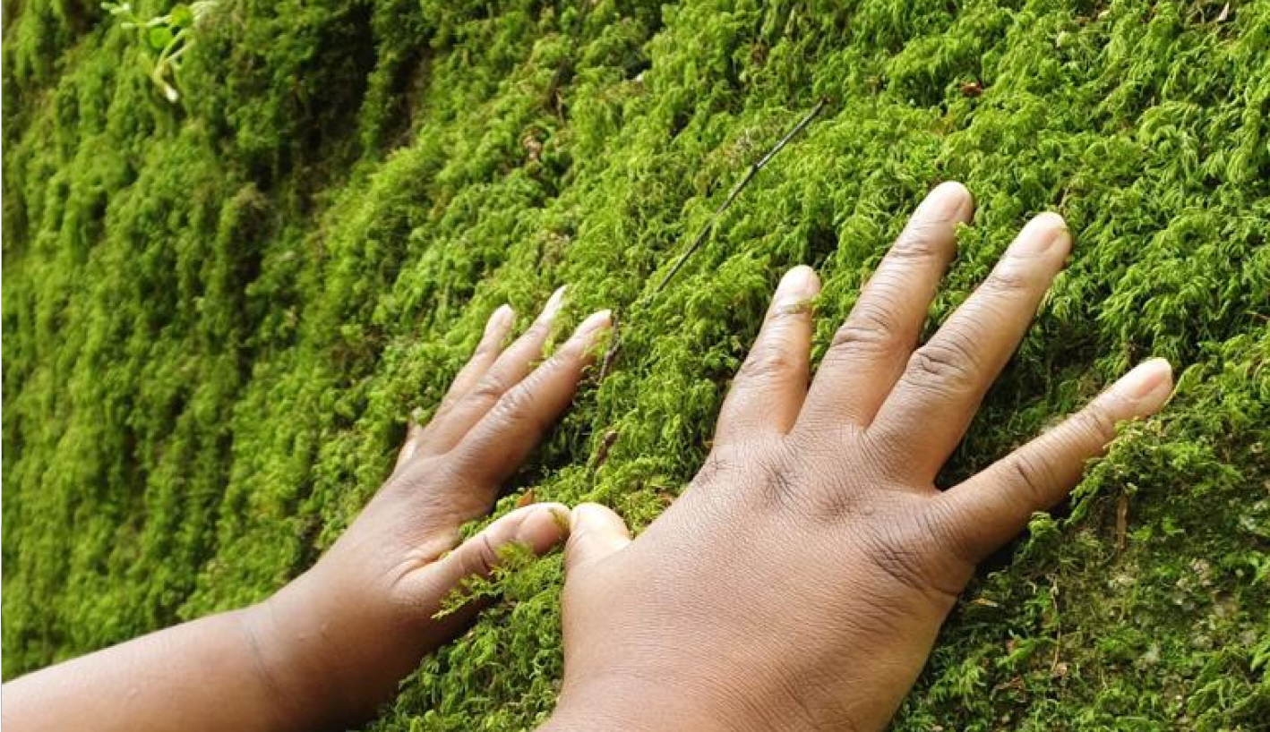 hands touching woodland moss