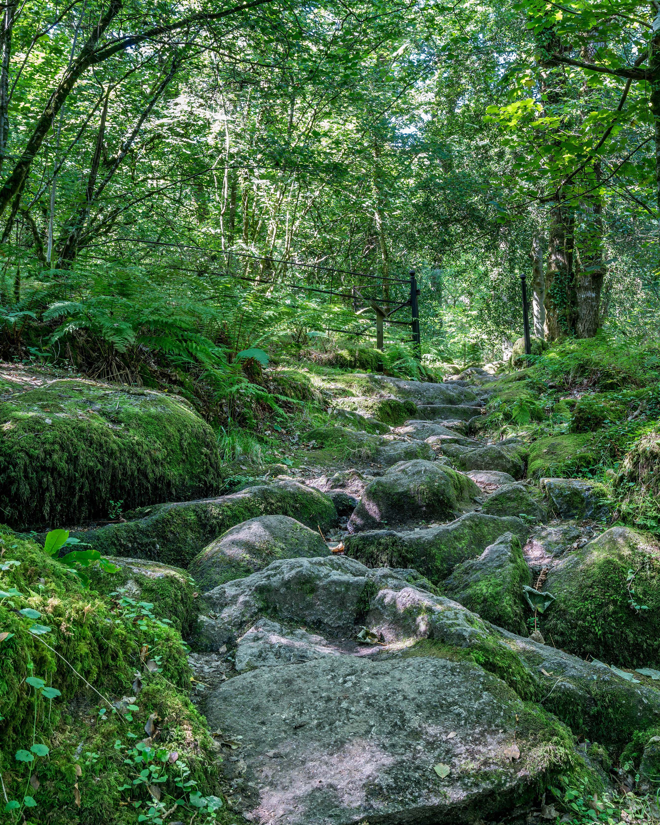 Long Red Trail walk